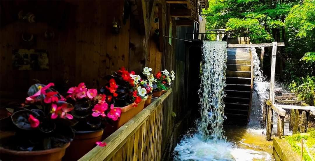 Popasul MORII OHABA Villa Exterior foto