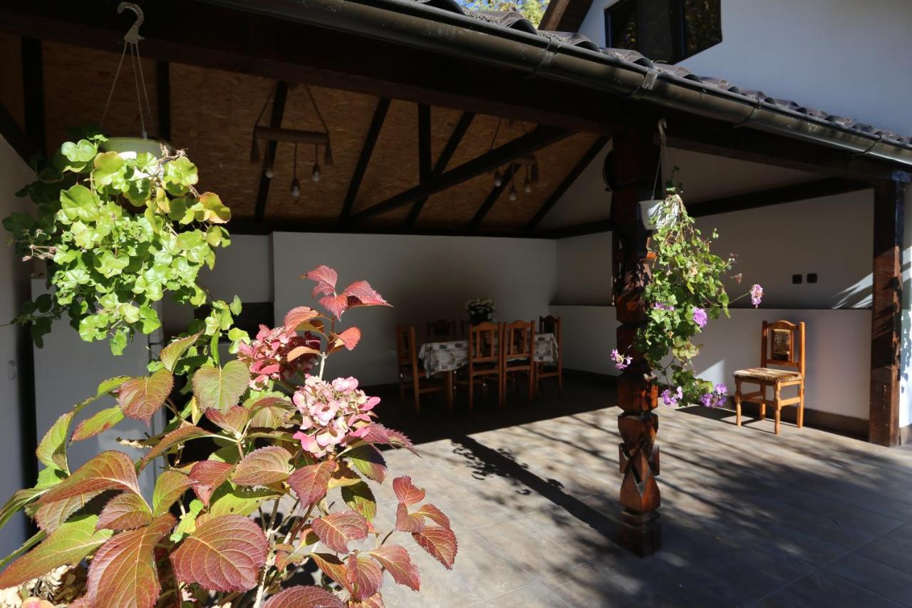 Popasul MORII OHABA Villa Exterior foto