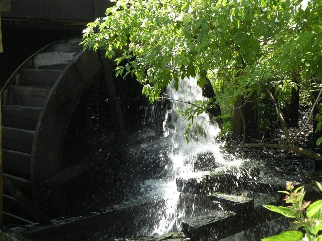 Popasul MORII OHABA Villa Exterior foto