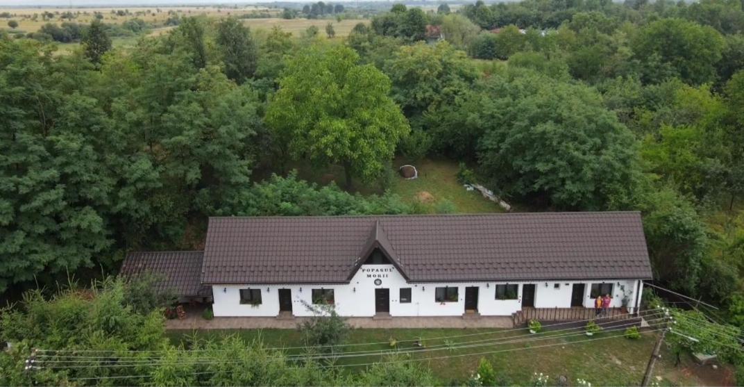 Popasul MORII OHABA Villa Exterior foto