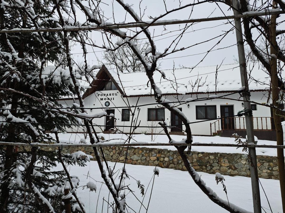Popasul MORII OHABA Villa Exterior foto